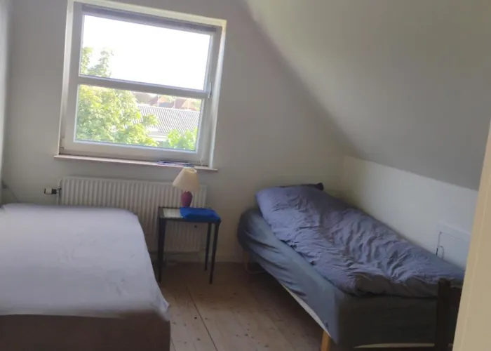 Rodkaelkevej's * Hurup
